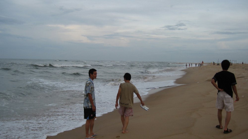 Lịch Trình Du Lịch Quy Nhơn 3 Ngày 2 Đêm: Trọn Vẹn Biển Đảo & Ẩm Thực